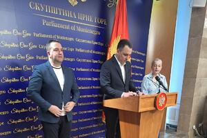 Vuković: Vlada da utiče da se iz skupštinske procedure povuče...