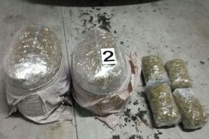Podgorica: Dvojica uhapšena sa 54 kilograma skanka