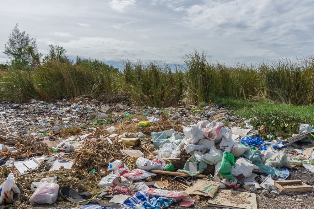 šuma smeće, Foto: Shutterstock