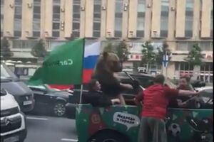 I medvjed "slavio" pobjedu Rusije protiv Saudijske Arabije