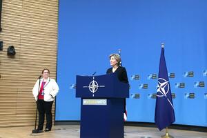 Hačison: Crna Gora je važna članica NATO, narod je jasno pokazao...