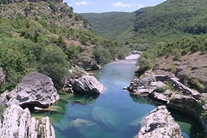 VIDEO PRIČA  "Ne dajmo Cijevnu": Dokle ćemo žrtvovati rijeke?