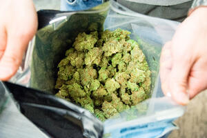 Na GP Dobrakovo u autobusu pronađeno preko pola kilograma marihuane