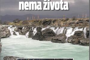 Specijalan dodatak o Cijevni: Ako nema vode, nema ni života