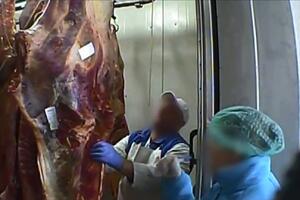 Panika zbog najveće izvoznice mesa u EU: Ostružu trulo meso i...