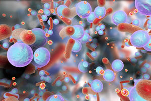 Otporna superbakterija širi se bolnicama širom svijeta