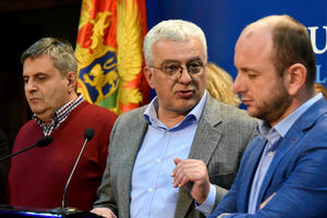DF: Podržaćemo proteste i inicijativu SDP-a o vanrednoj sjednici...
