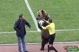 Fudbal na ruski način: Medvjed na terenu u neobičnoj ulozi