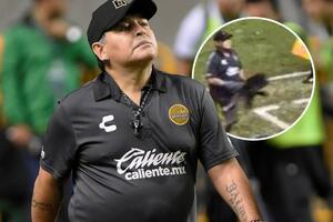Maradona u elementu: Zvao navijače na tuču, prozivao Bobana,...