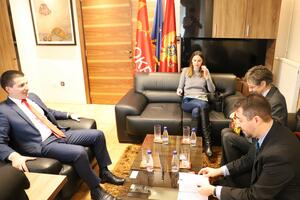 Bečić na sastanku sa predstavnicima OEBS: Opozicija traži samo...