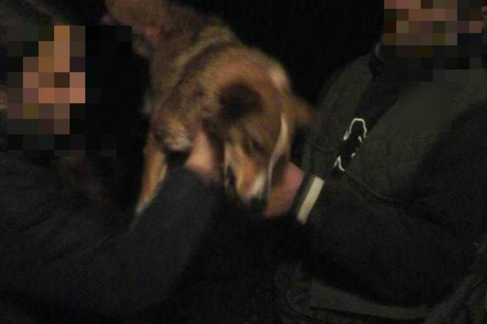zlostavljanje psa, Petnjica, Foto: Facebook