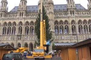 Novogodišnja jelka stigla u Beč: Visoka 25 metara, svjetiljke se...
