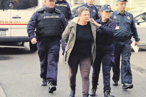Ustavni sud bi ostavio Milić u pritvoru