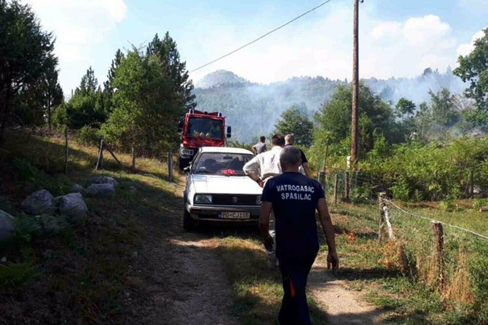 požar Podgorica, požar Radovče, Foto: Služba zaštite i spasavanja Podgorica