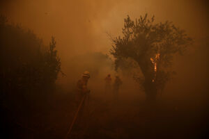 Protiv požara u Portugalu angažovano 1.700 vatrogasaca