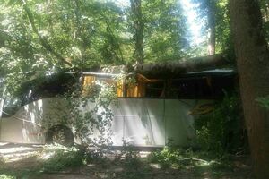 Vjetar oborio drvo na autobus u NP "Biogradska gora"