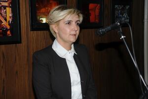 Sekulić: U 2017. će se raditi na donošenju zakona o privrednim...