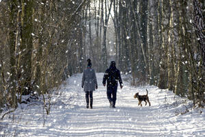Zašto je dobro šetati po hladnoći?