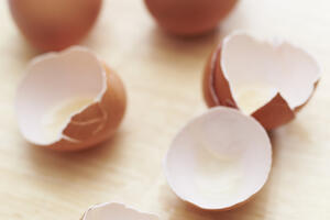 Ne bacajte ljuske od jaja