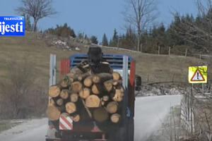 Udruženje šumarstva predlaže uvođenje takse na ogrjevno drvo