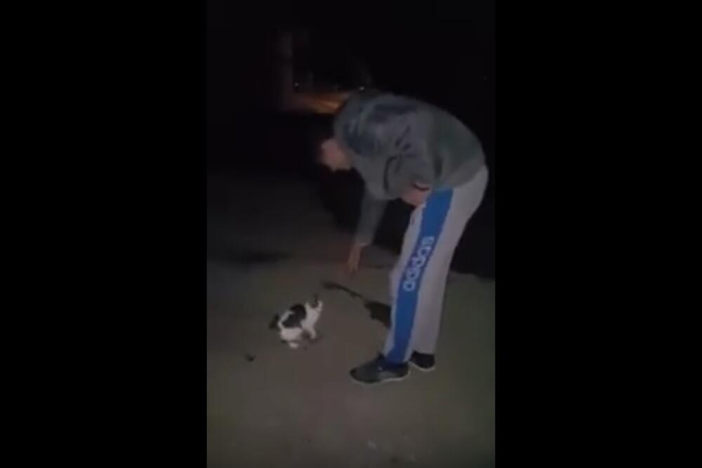Zlostavljanje mačke, Foto: Screenshot (YouTube)