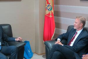 Gvozdenović: Crna Gora ima jasan pravac djelovanja vezano za...