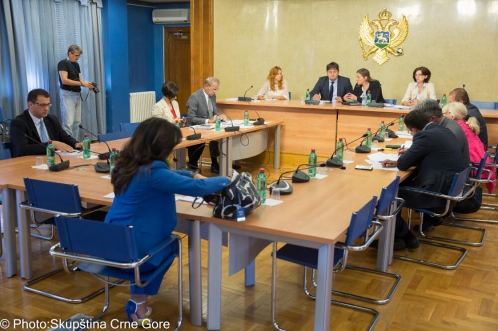 Odbor za praćenje primjene Zakona o izboru odbornika i poslanika, Foto: Skupština Crne Gore