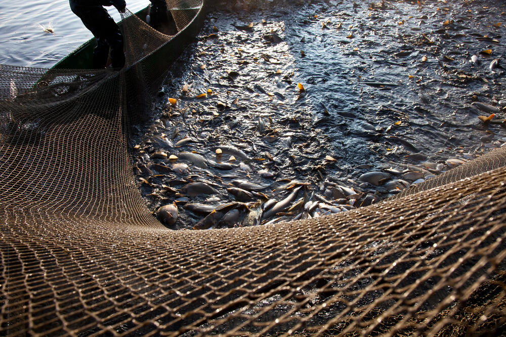 Ribarska mreža, Foto: Shutterstock