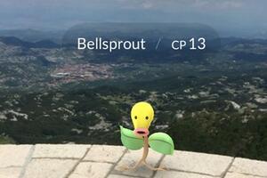 Crnogorski pokemon: Lovio Belspruta na Lovćenu