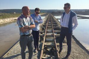 Gvozdenović se nada: Ove godine moguće obnoviti proizvodnju soli u...