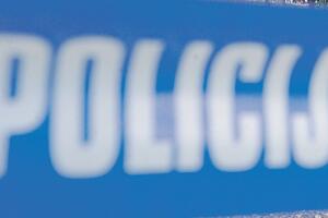 Grujić: Službenike policije edukovati radi unapređenja saradnje