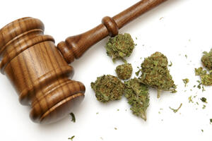 Ciguljinu optužnica za prodaju marihuane