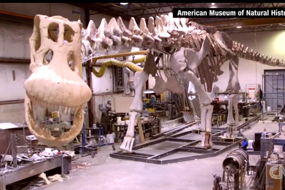 titanosaurus Njujork, Foto: Screenshot (CNN)