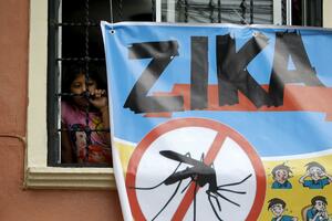 SZO objavila plan za suzbijanje virusa zika