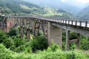 Most na Đurđevića Tari među 20 najljepših