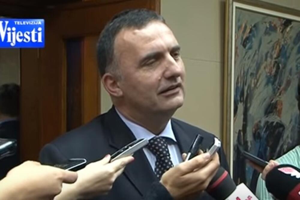 Srđan Milić, Foto: Screenshot (YouTube)