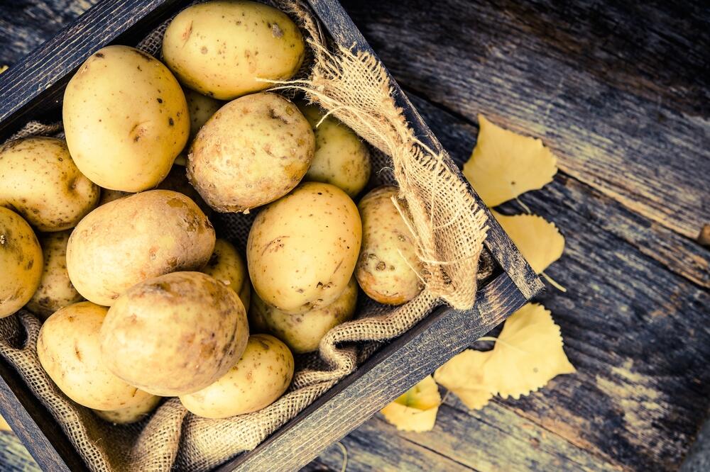 krompir, Foto: Shutterstock