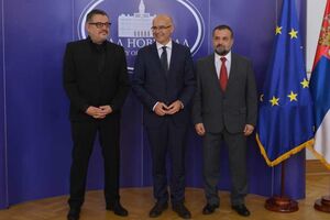 Mićunović: Odnosi Srbije i Crne Gore idu uzlaznom putanjom