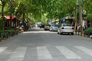 Dio Njegoševe ulice je od danas popodne pješačka zona