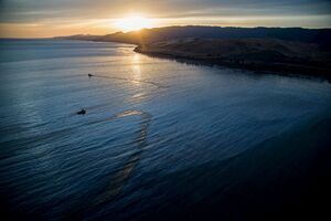 Kalifornija: Izlilo se 79.500 litara nafte u okean