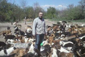 Kako se jedan Saša bori da spase svojih više od 400 pasa