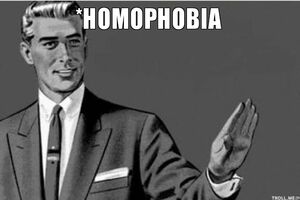 Pedeset nijansi homofobije