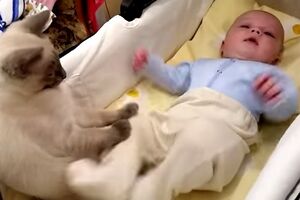 Mačka pokušava da umiri bebu [VIDEO]