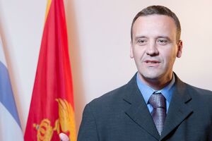 Ražnatović: Rezolucijom EP šalje se ozbiljna poruka