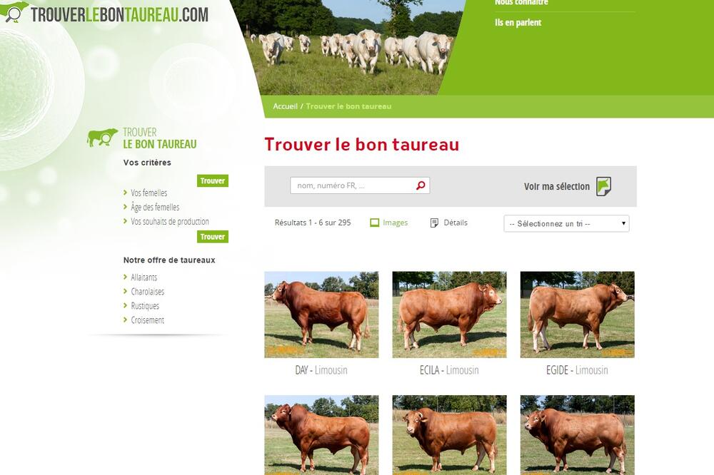 sajt za krave, Foto: Printscreen
