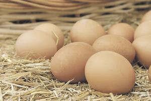 Ukradeno pola miliona jaja u Portoriku