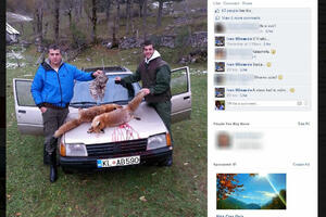 Mladić iz Kolašina ubio sovu i pohvalio se time na Facebooku
