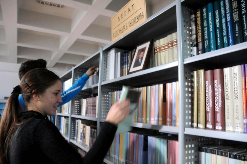 biblioteka, knjige, Foto: Boris Pejović