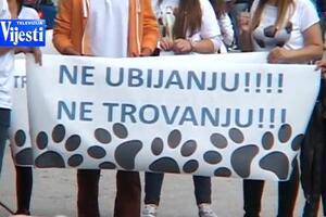 Bijelo Polje: Protest zbog trovanja pasa (Uznemirujući sadržaj)
