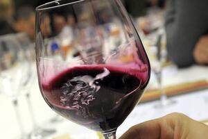 Plantaže: Sankcije Rusije zasad ne obuhvataju vinske proizvode